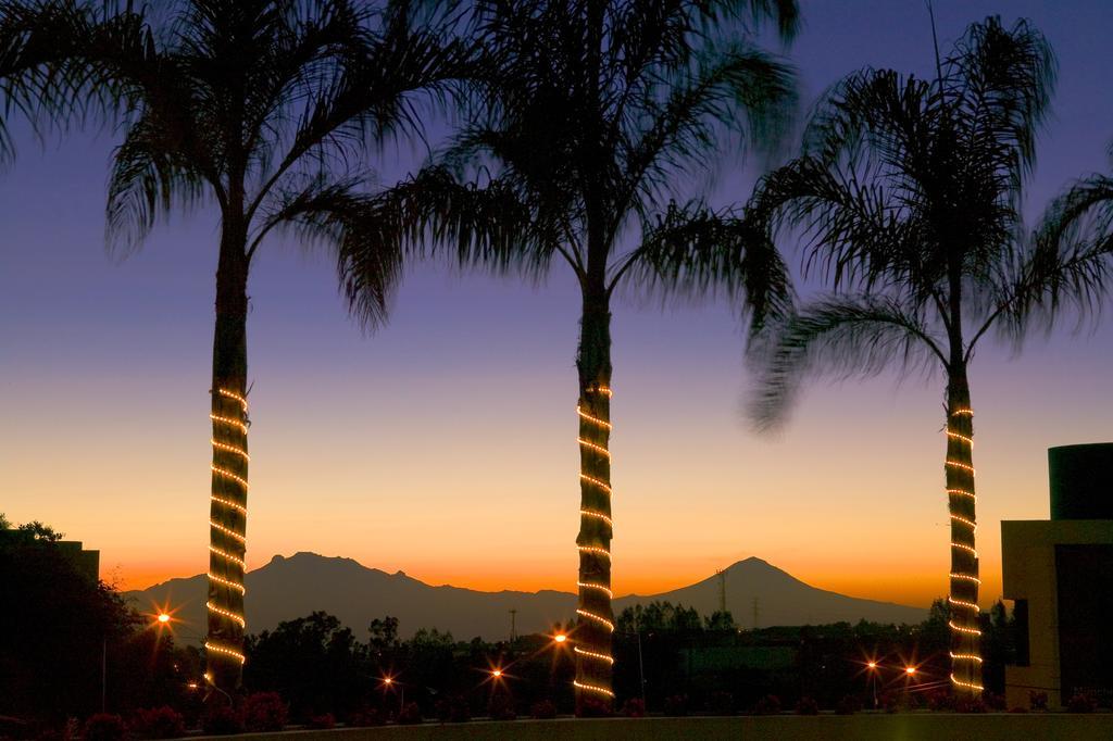 Novotel Santa Fe Hotel Città del Messico